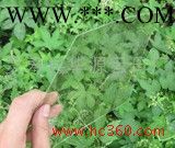 供应华源云母粉，白云母片（不同规格）图2