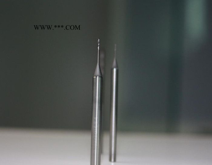 LEEPPLE品牌石墨专用铣刀￠0.6平底石墨刀图2