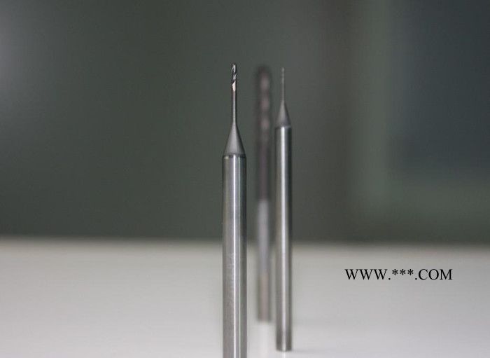 LEEPPLE品牌石墨专用铣刀￠0.6平底石墨刀图3