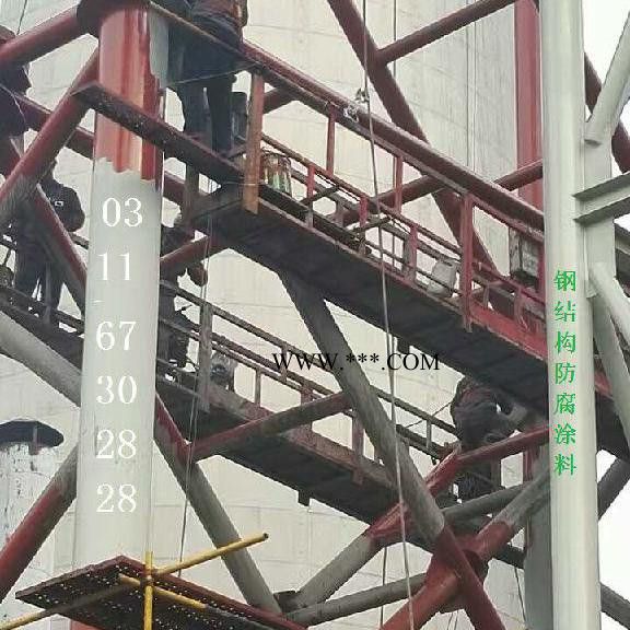 环氧中间防腐漆 环氧防腐底漆 云母铁灰中间漆 防霉涂料面漆 防霉涂料隔离漆图1