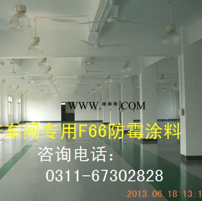 环氧中间防腐漆 环氧防腐底漆 云母铁灰中间漆 防霉涂料面漆 防霉涂料隔离漆图2