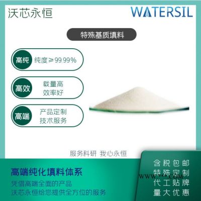 Watersil GCB-Carb石墨化碳黑固相萃取填料SPE色谱填料