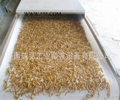 济南越弘石膏板微波烘干干燥设备生产商 微波干燥设备图2