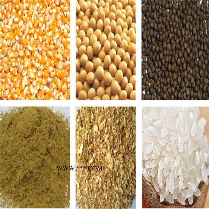 石膏木炭齿盘粉碎机 500型化工原料粉碎机价格 糯米磨粉机