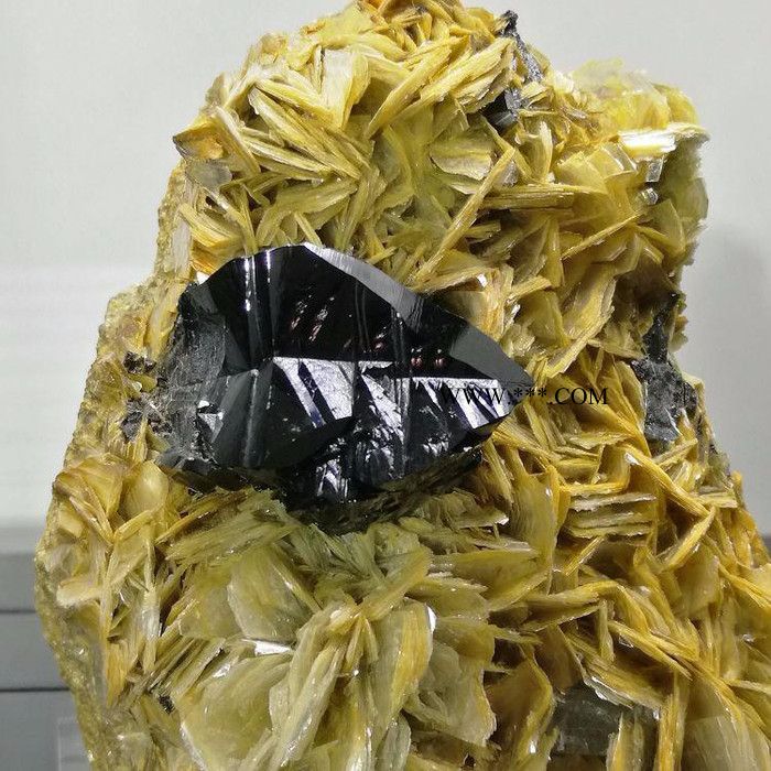 宜居品阁JSY039锡石晶体与海蓝宝及云母共生矿物晶体标本 矿标 石头收藏