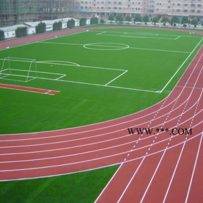 无溶剂石墨烯钢化平涂  划线涂料 沥青路划线