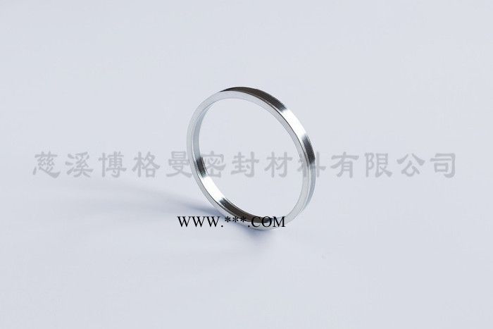 博格曼(Burgmann) 石墨填料环 BPG自密封图3
