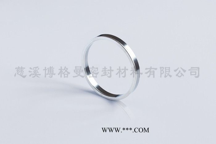 博格曼(Burgmann) 石墨填料环 BPG自密封图4