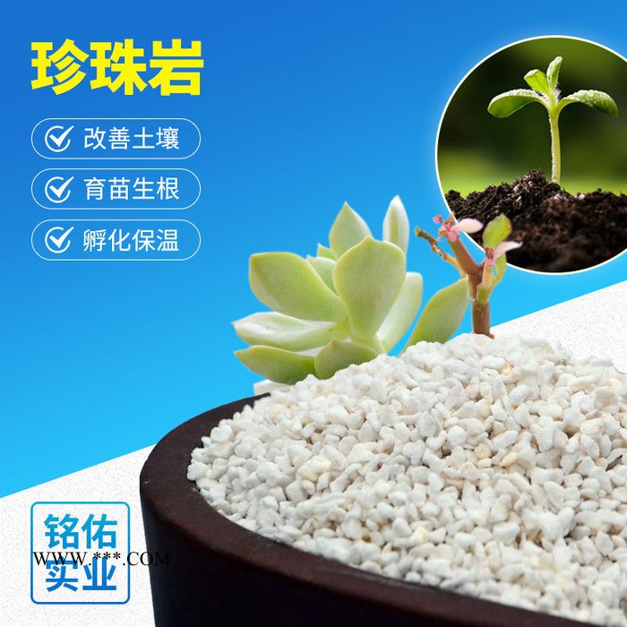 珍珠岩 腻子粉珍珠岩 憎水珍珠岩图5