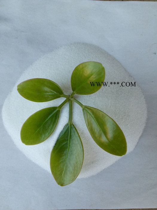 供应天然彩砂-天然岩片 石英砂 云母图3
