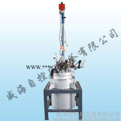 供应 自控电加热反应釜 高压反应釜 石墨反应釜ZK-2671
