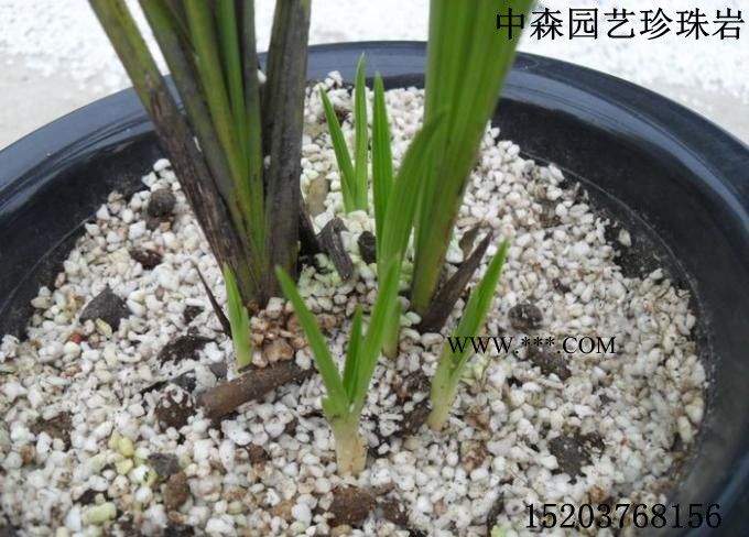 信阳园艺珍珠岩保温珍珠岩 膨胀珍珠岩  珍珠岩玻化微珠图3