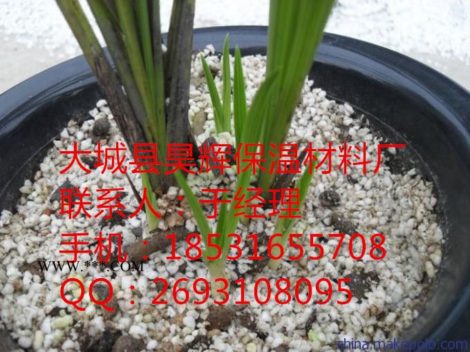大棚种植珍珠岩图2