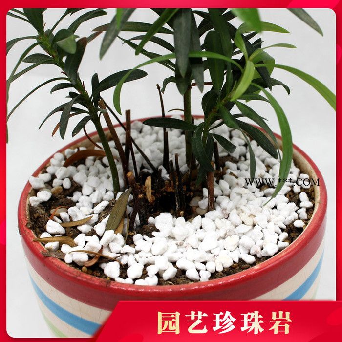 基质栽培 育苗种花 大颗粒园艺珍珠岩 膨胀珍珠岩 弘生保温 信阳厂家直供图5