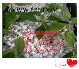 种植珍珠岩图1