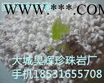 种植珍珠岩图3
