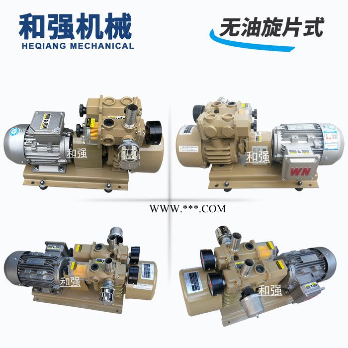 国产真空泵 HZB40-SS-B-03 喷粉机用 气泵风泵 旋片碳片石墨片风泵 厂家直供图1