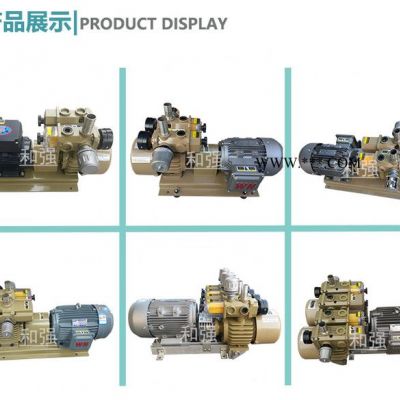 真空泵HZB25-SS-V-01 对应ORION气泵 石墨片/碳片/旋片/叶片国产气泵 25立方风泵 印刷机曝光机用