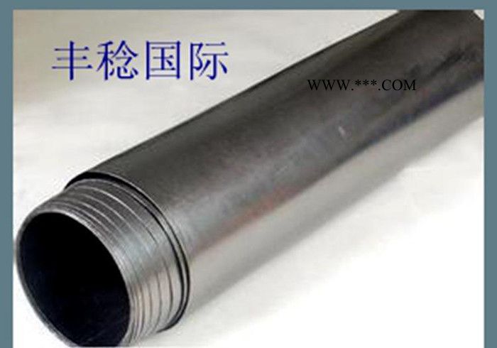 生产 高纯度石墨纸 导电耐高温石墨纸 石墨散热纸 石墨箔图2