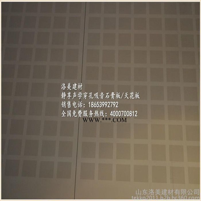 供应龙牌方孔穿孔石膏板图2