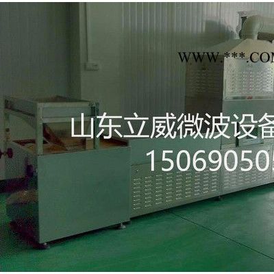 立威YLDWS-12石墨石墨球石墨烯干燥设备价格实惠**