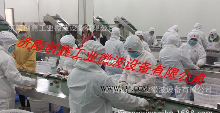 济南创鑫石膏板微波烘干机 微波干燥设备生产商图2