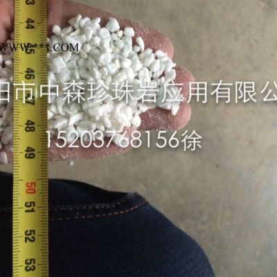 信阳中森牌园艺专用大颗粒膨胀珍珠岩直径3-6mm吸水保肥松土