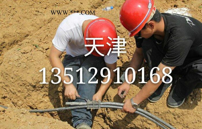 天津柔性石墨接地线 石墨缆接地线 石墨盘根图1
