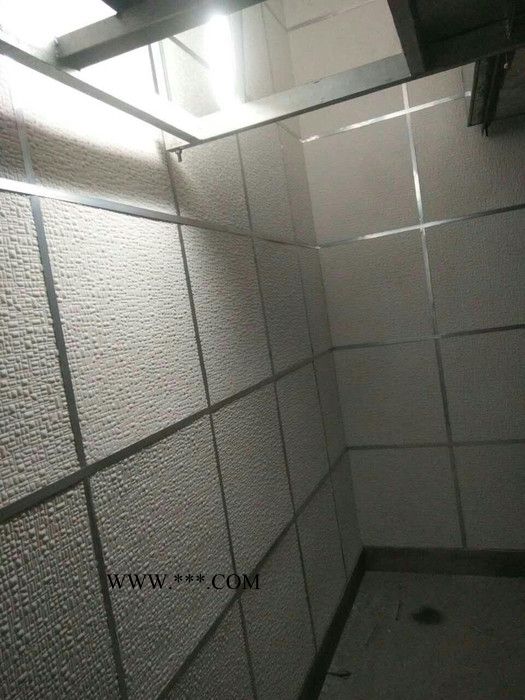 奥瑞特铭  300*600*20   珍珠岩吸音板    浮雕型图4
