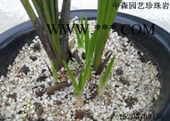 液氮液氧等冷罐保温用珠光容重55-60kg/m3 珍珠岩图3