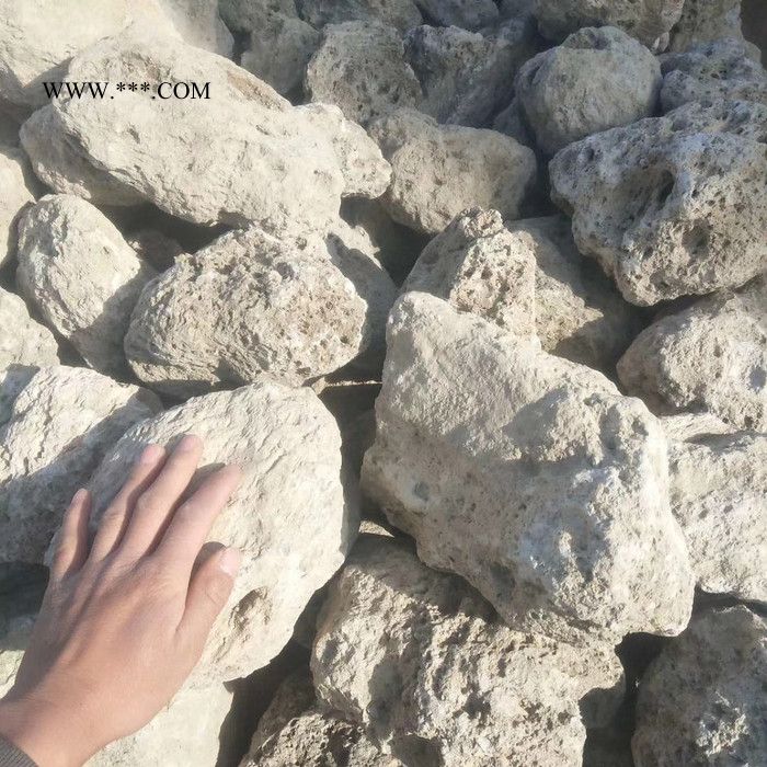 天隆 火山石 浮石 沸石 火山石颗粒 火山粉 火山岩厂家 水处理滤料用图4