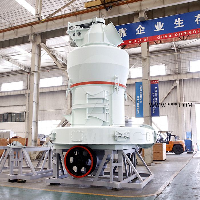 100目沸石雷蒙磨粉机  时产30吨粉磨设备  全套磨粉设备图4