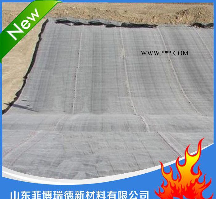 【质量可靠】直销**膨润土防水谈毯 规格膨润土防水毯图2