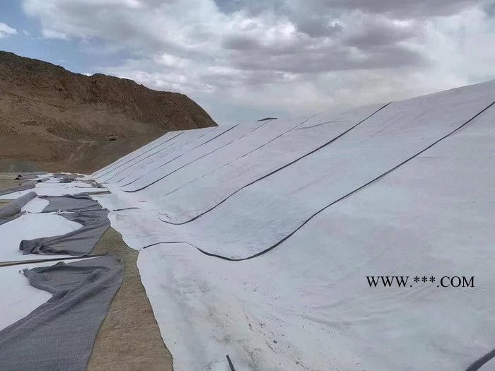 厂家供应人工湖GCL膨润土防水毯 垃圾填埋场覆膜膨润土防水毯图1