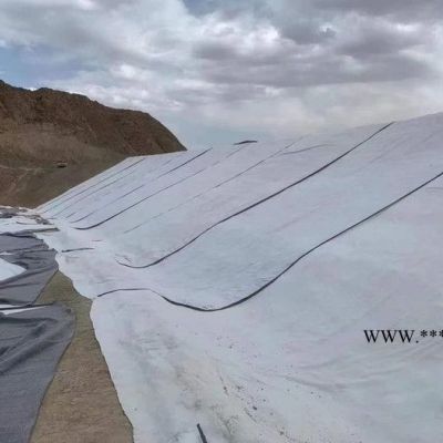 厂家供应人工湖GCL膨润土防水毯 垃圾填埋场覆膜膨润土防水毯