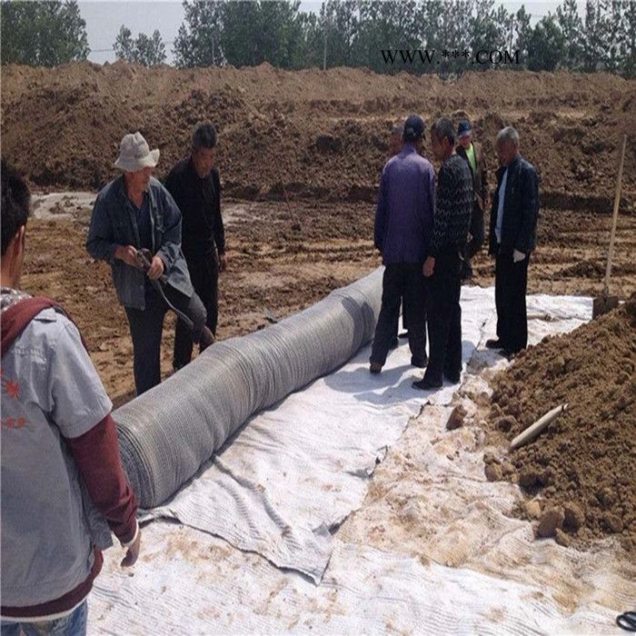 锐宸膨润土防水毯 现货供应防渗复合防水毯 天然钠基膨润土防水毯 厂家源头直供图1