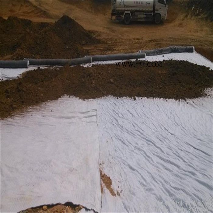 厂家直供钠基膨润土复合防水毯， 膨润土防水毯 自产自销 欢迎下单图1