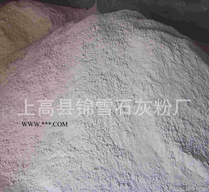 专业 重质活性碳酸钙 2500目重质碳酸 活性硅灰石粉精矿粉