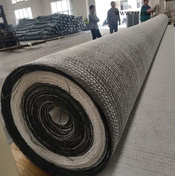 鑫建厂家直供应土工膜 覆膜纳基膨润土防水毯  膨润土防水毯图7