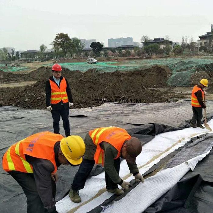 山东供应 复合膨润土防水毯 gcl膨润土防水毯  欢迎电话咨询