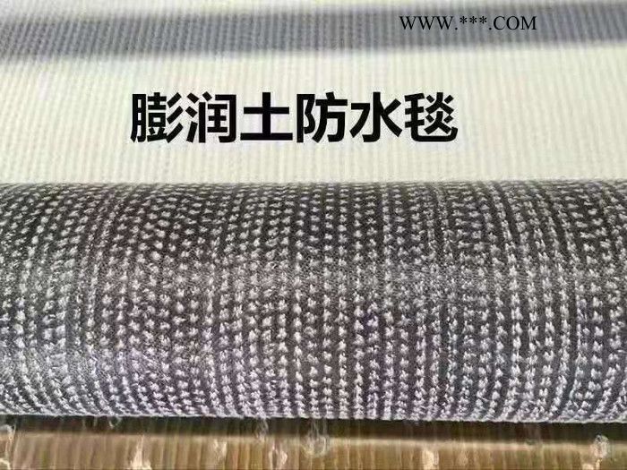 天仁新材料 覆膜膨润土防水毯 垃圾填埋场专业复合膨润土防水毯 厂家 规格齐全图7