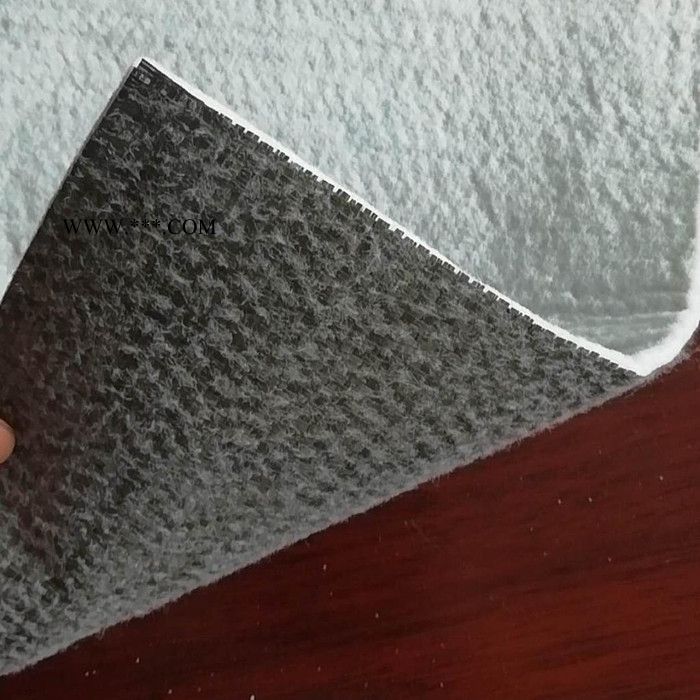 国标5500g膨润土防水毯 GCL防水毯 纳基膨润土防水毯 防水毯 防渗垫