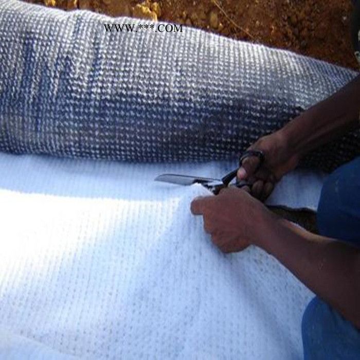 厂家定制垃圾填埋场用膨润土防水毯 人工湖防渗漏钠基膨润土防水垫