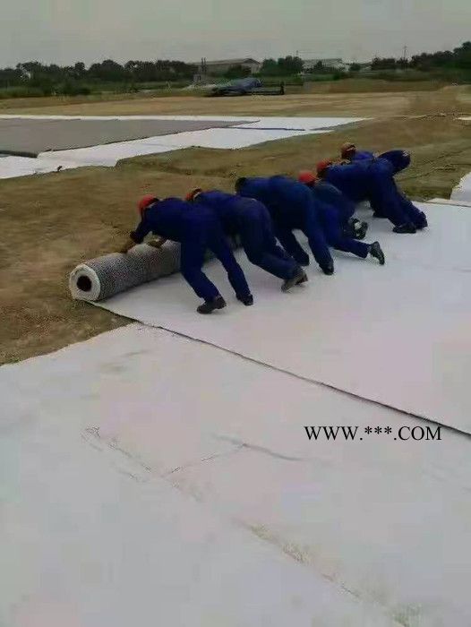 禾鹏 防水毯   膨润土防水毯厂家   现货直供图1