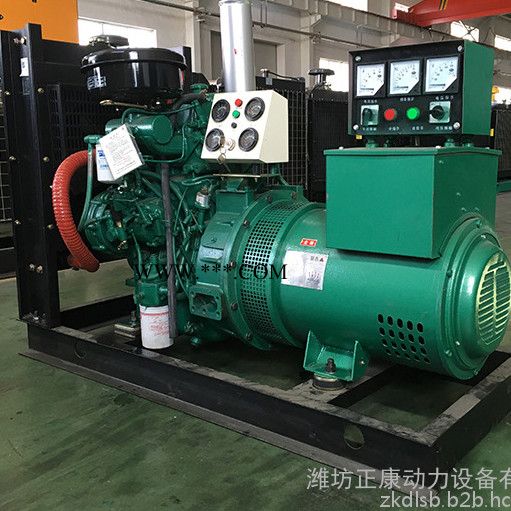 低油耗玉柴15kw无刷发电机组 膨润土矿专用15千瓦双缸柴油机发电机图2