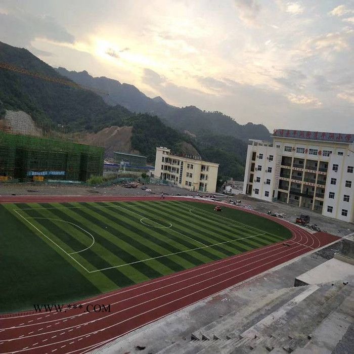 厚冠全塑型塑胶跑道 室外塑胶跑道 四川石棉自结纹塑胶跑道图3