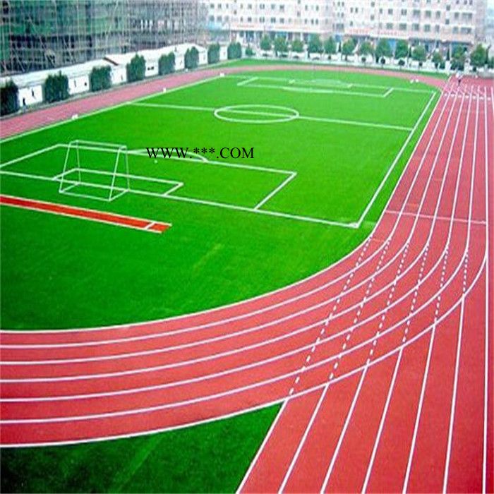 厚冠全塑型塑胶跑道 室外塑胶跑道 四川石棉自结纹塑胶跑道图4