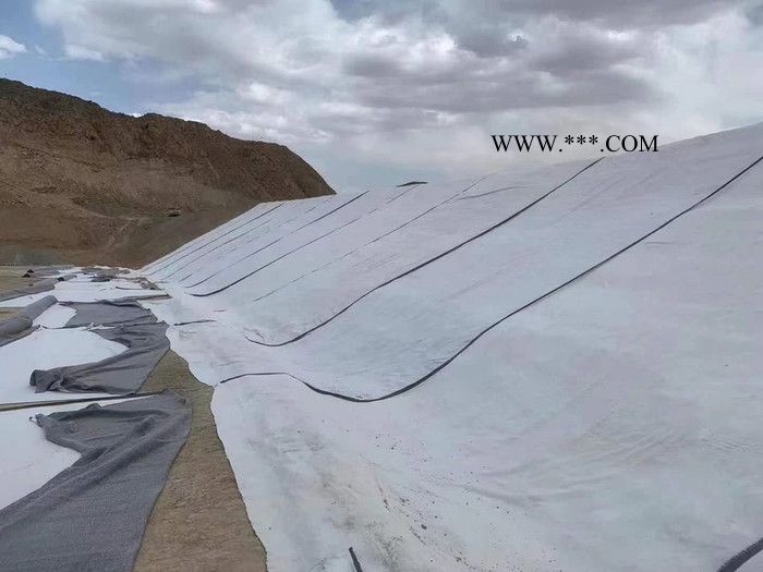 人工湖垃圾填埋场防渗覆膜防水毯厂家 常年供应gcl钠基膨润土防水毯图3