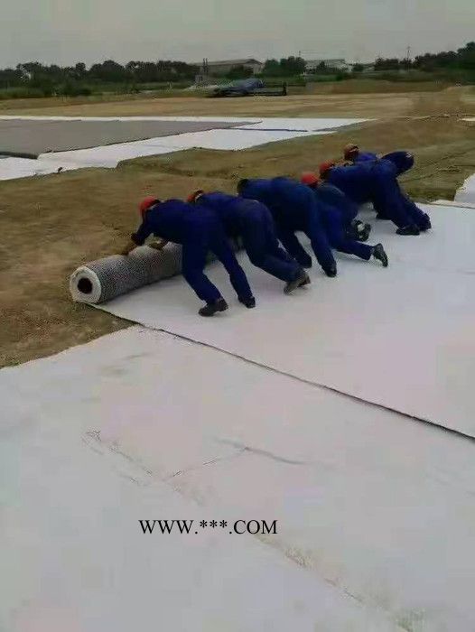 禾鹏 膨润土防水毯   防水毯厂家 现货直供  规格齐全图7