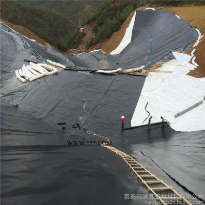 泰安润鑫  养殖膜  厂家直供衡阳市衡东养殖膜  土工膜 膨润土防水毯 定制生产 量大价优